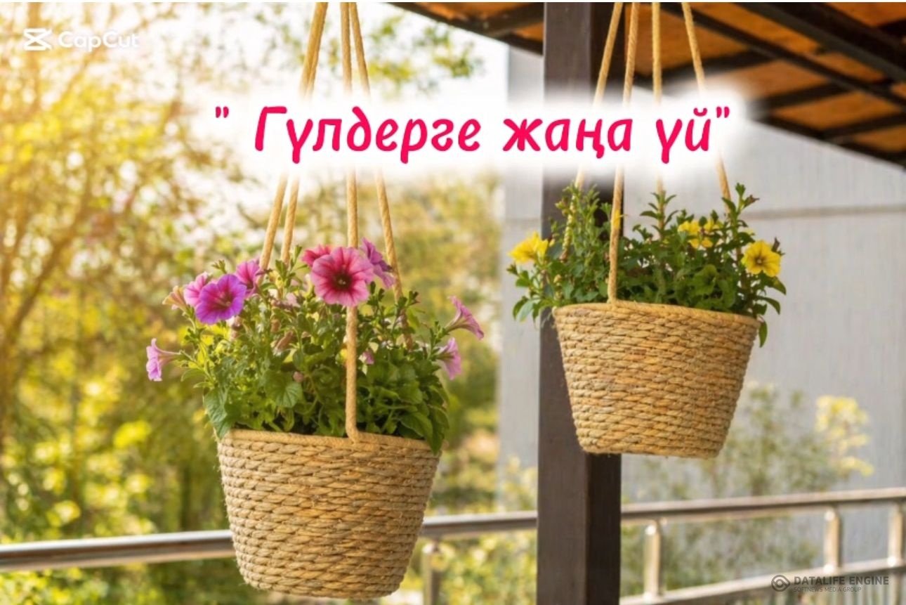 "Гүлдерге жаңа үй"  5–6 сынып оқушыларының қолымен жасалған ерекше жұмыс.